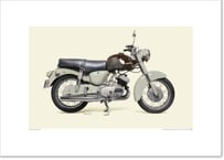 A2規格サイズ愛蔵版プリント   1957 YAMAHA YD-1 / #2101006HQ