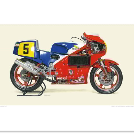 【セール】【思案】【ドイツ語】【TSR】【旧枠】【4枚セット】 TOD'S トッズ 財布 レディース 長財布 T TIMELESS LARGE WALLET