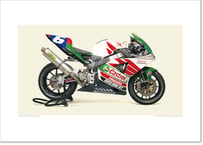 A2規格サイズ愛蔵版プリント  2003 Honda CBR954RR - Castrol Honda Dream RT / #2101078HQ