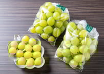 【直売限定】白ぶどう 切り落とし（約1kg）