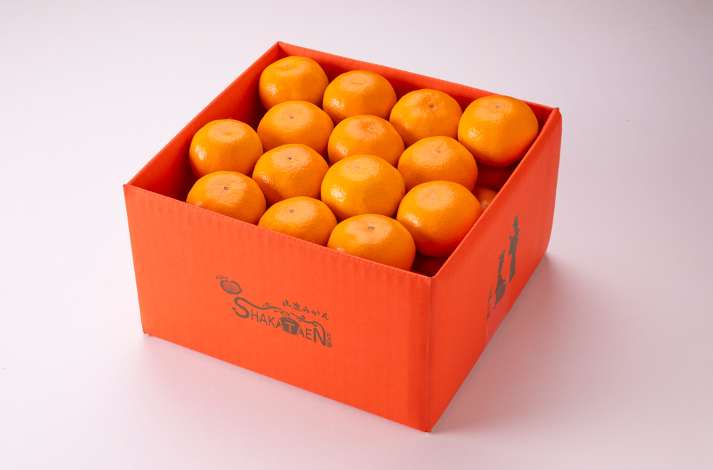 山鹿 完熟 蔵出しみかん 3kg | 社方園 公式オンラインショップ