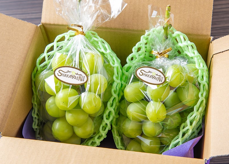 白ぶどうの2房セット（各400g Over） | 社方園 公式オンラインショップ