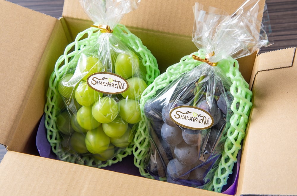 帯　黒　金　金刺繍　ぶどう　葡萄　ブドウ 帯 黒 金 金刺繍 ぶどう 葡萄 ブドウ 正絹・全通名古屋帯【お