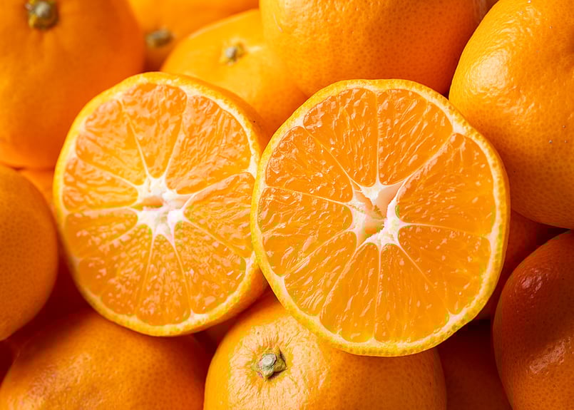 山鹿 完熟 蔵出しみかん 3kg | 社方園 公式オンラインショップ