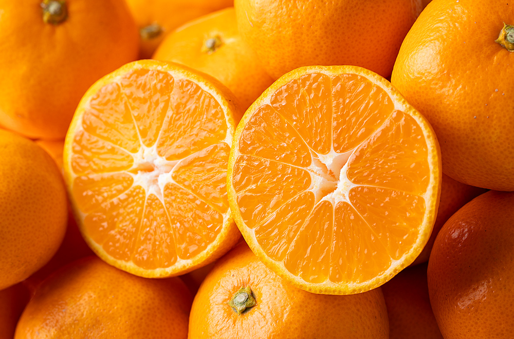 山鹿 完熟 蔵出しみかん 3kg | 社方園 公式オンラインショップ