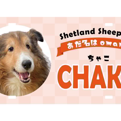 CATEGORY うちの子（utinoko） | ペットのおやつ屋omame