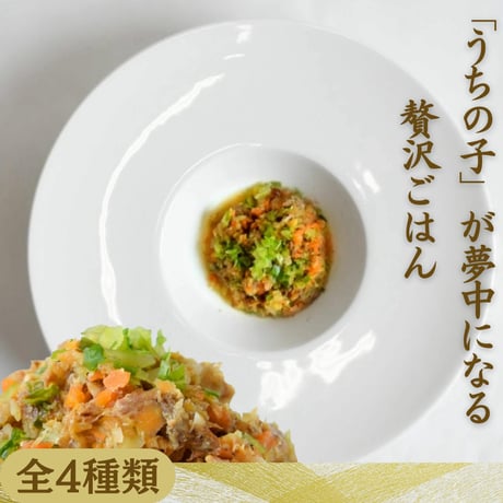 獣医師公認　お野菜たっぷりごはん（70g）