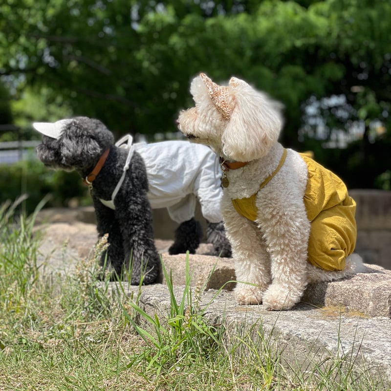 バルーンロンパース マスタード（小型犬） | favori dog clothes shop