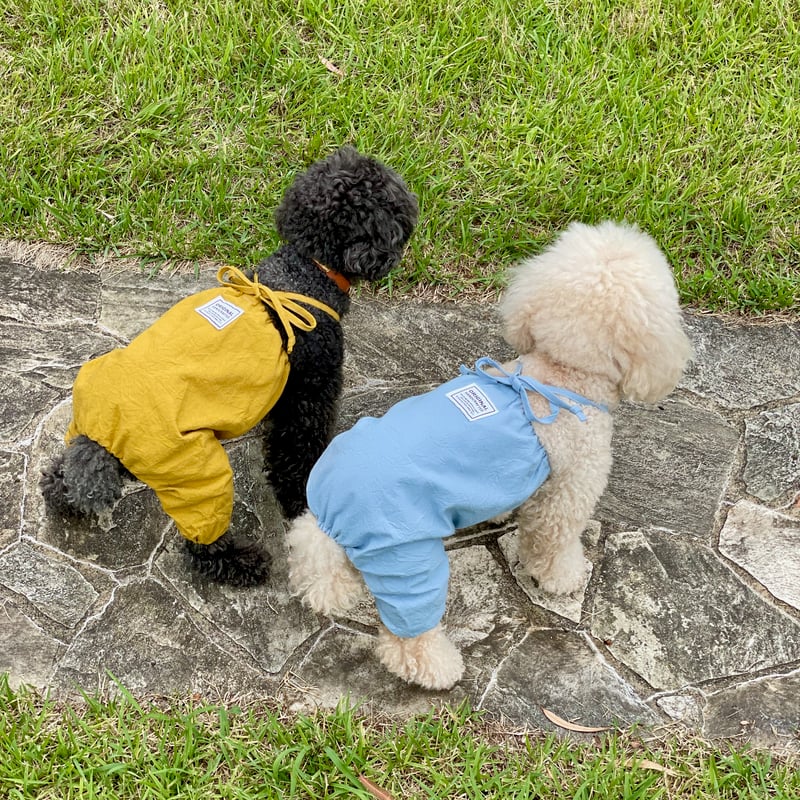 犬用品 ハンドメイド 耳付きセーラーバルーン オーダー小型犬