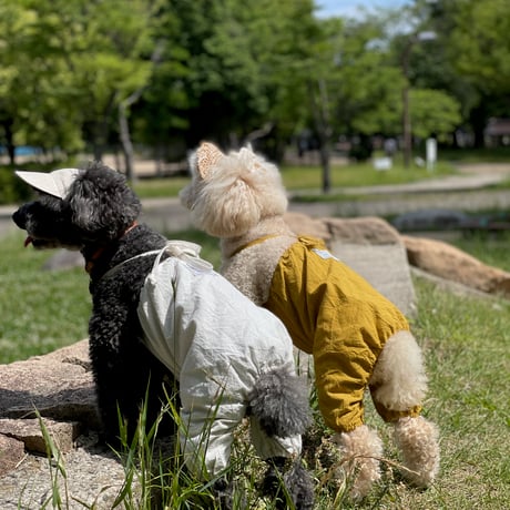バルーンロンパース　マスタード（小型犬）