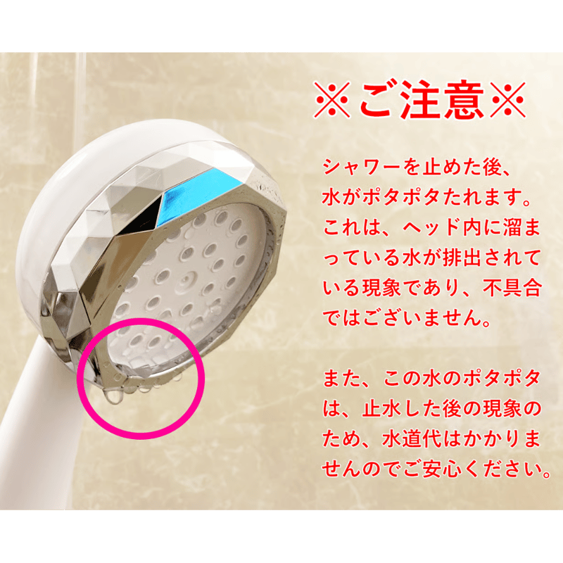 NEW!! [ NANORISM ナノリズム ] ナノバブルシャワーヘッド | 【公