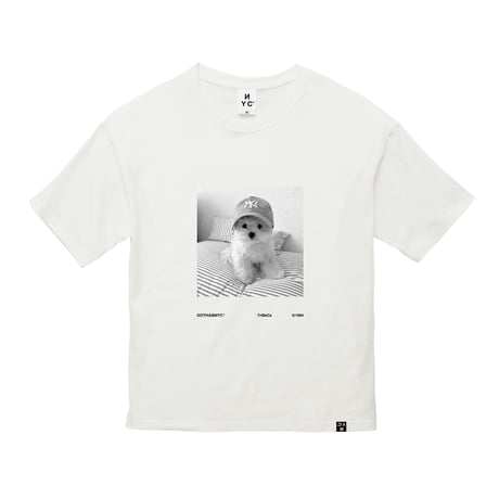 5.6oz TS / GN1409 / VANILLA WHITE