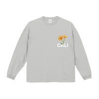 GN1080L / GREY