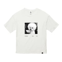 5.6oz TS / GN1387 / VANILLA WHITE