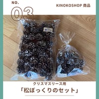 松ぼっくりのセット