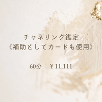 チャネリング鑑定✨