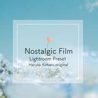 Lightroom Preset　ーNostalgic Filmー
