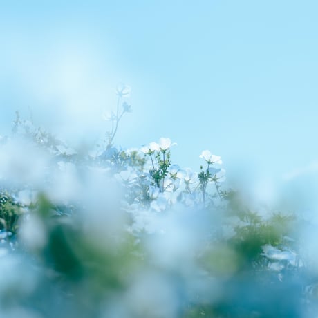 Lightroom Preset　ーCrystal  Blueー