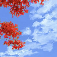 紅葉 -Autum leaves-