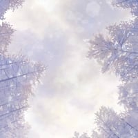 雪花 -Sekka-