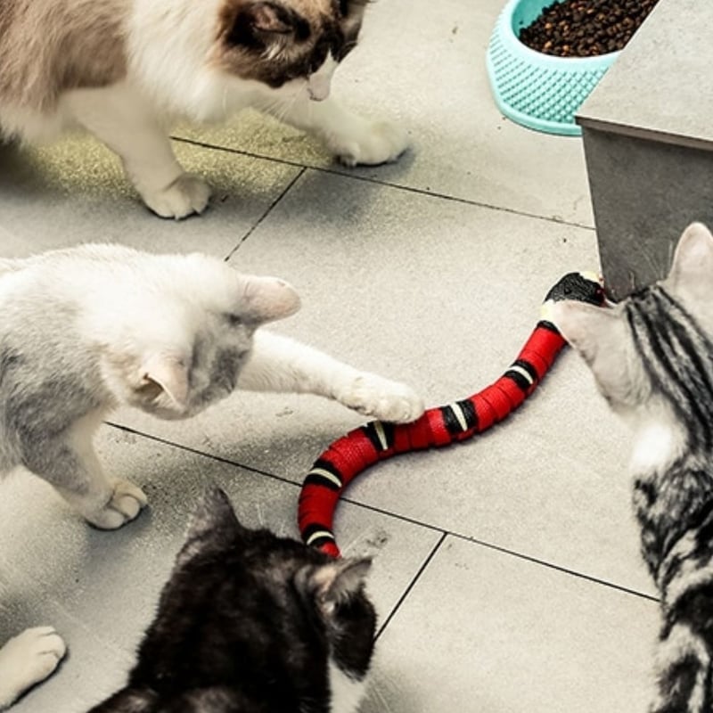 猫 おもちゃ ヘビ サンゴヘビ 電動 珊瑚蛇 毒蛇 ペット 一人遊び