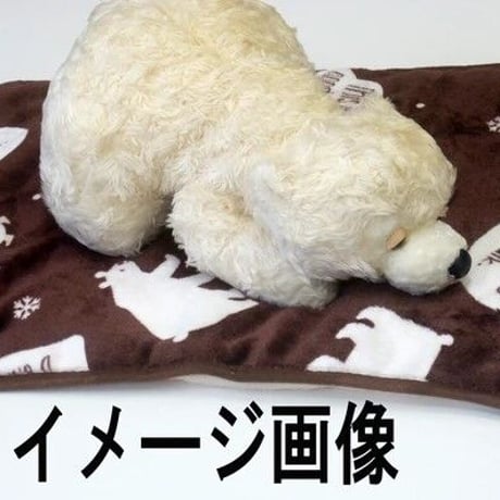 ペットが喜ぶあったか毛布　熊柄　２枚１セット