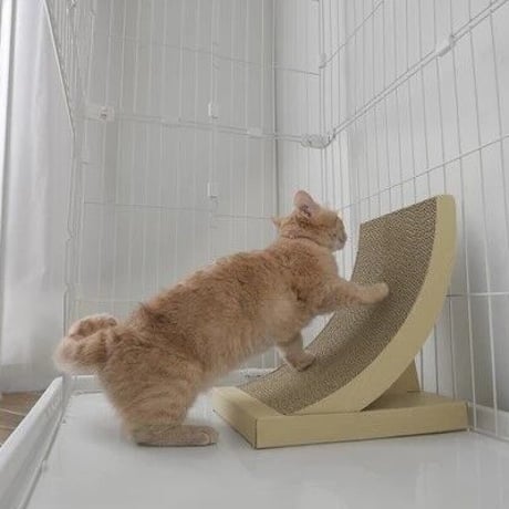 猫の爪とぎ　アーチタイプ