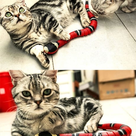 猫 おもちゃ ヘビ サンゴヘビ 電動 珊瑚蛇 毒蛇 ペット 一人遊び 羽根 玩具 猫用