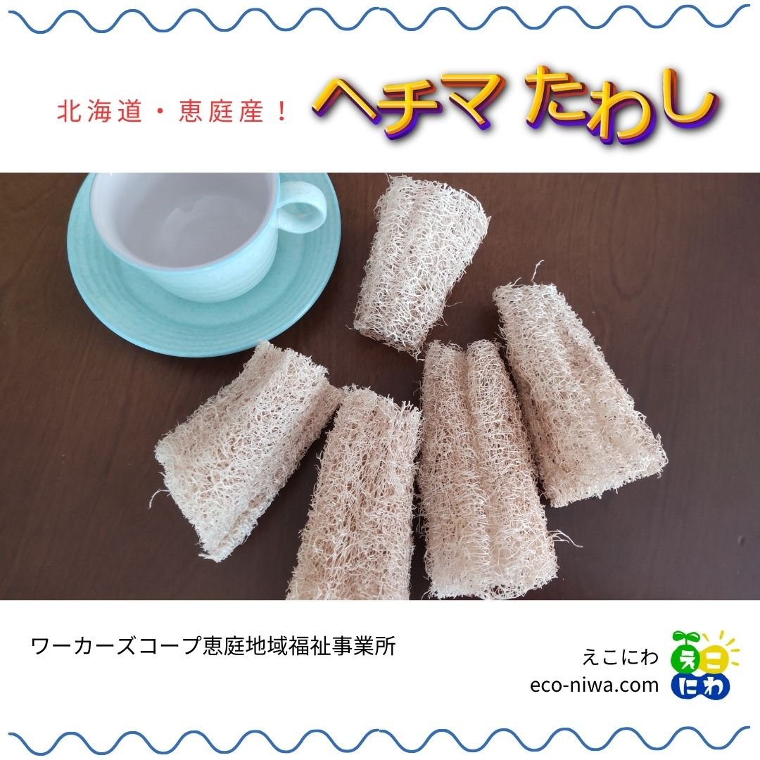 ヘチマたわし　16本セット へちまたわしM - みたけさいとう創店/自家製調味料/木工カトラリー