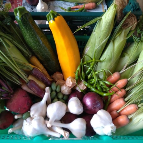 野菜セット5000円【夏秋】