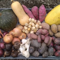 野菜セット5000円【秋冬】