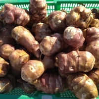 スーパーフード「菊芋」（１キロ）