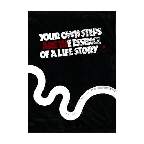 AREth DVD YOUR OWN STEPS ARE THE ESSENCE OF LIFE STORY アース スケート スノー ボード サーフィン  DVD