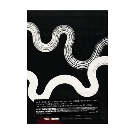 AREth DVD YOUR OWN STEPS ARE THE ESSENCE OF LIFE STORY アース スケート スノー ボード サーフィン  DVD