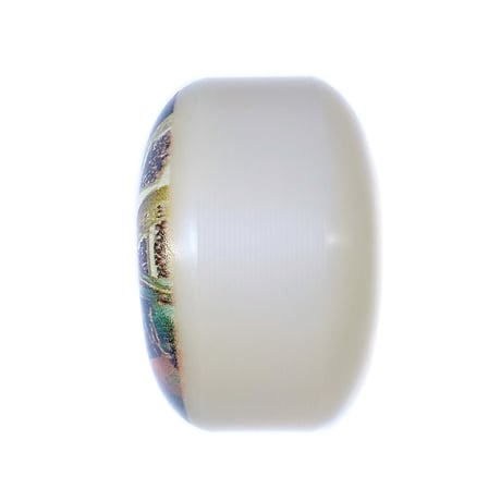 satori wheel Gunez Ozdogan Morgan Campbell GUEST artist series 53mm 101A サトリ スケートボード ウィール