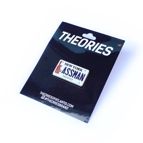theories pins 26SPRING ass man