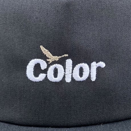 Color communications cap 25SUMMER wawa EMB unstructured CHARCOAL カラーコミュニケーションズ キャップ