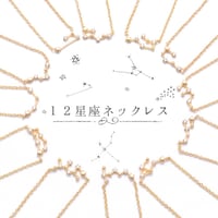 12星座ネックレス✴︎星に願いを