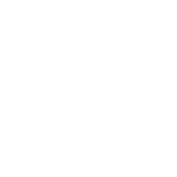 モロフジダンボール