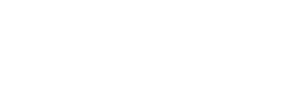 モロフジダンボール
