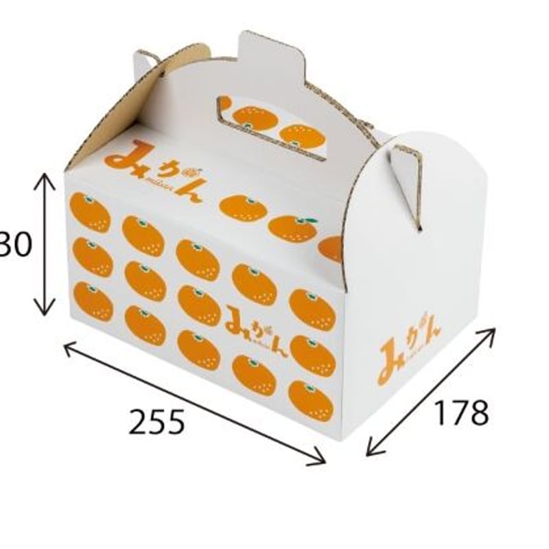 ２枚。ハート♥みかん❤暖か☆Wボア♥特大ブランケット♥flower猫。橙 フルーツパッケージ イラストみかん手提箱 255×178×H130 | モロフジ