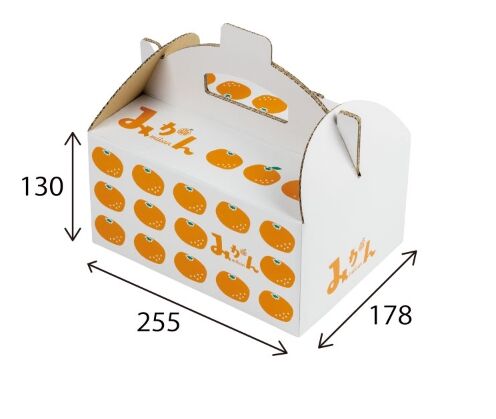 ２枚。ハート♥みかん❤暖か☆Wボア♥特大ブランケット♥flower猫。橙 フルーツパッケージ イラストみかん手提箱 255×178×H130 | モロフジ