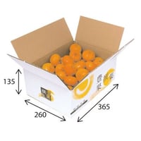 フルーツパッケージ みかん3kg箱 300×200×H110 | モロフジダンボール