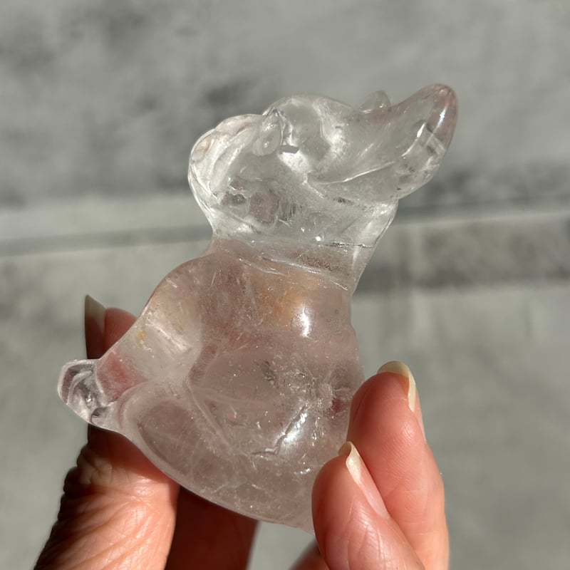 384.クリアクオーツⅹドッグ【天然石・鉱物・パワーストーン】 | mool