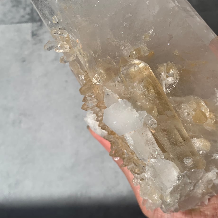 66e2f088ad5ace0dbb7e174a