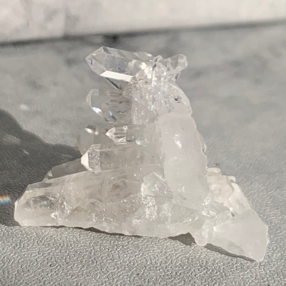65dc12136d1512046bf9e539