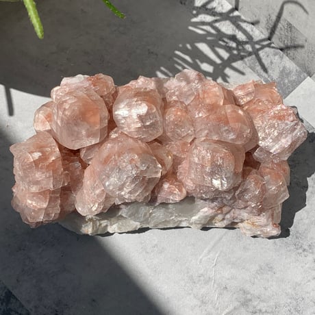 ピンクカルサイト | STORES