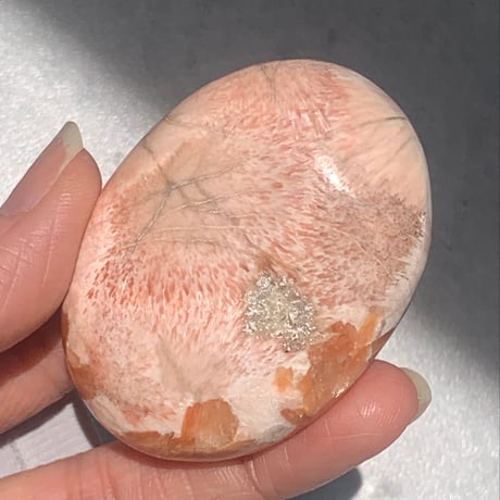 ピンクスコレサイト | STORES