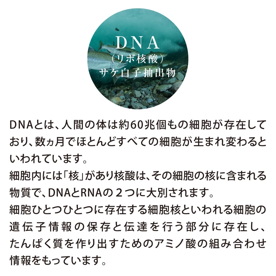 64eddcb56e4495002bcc14ea