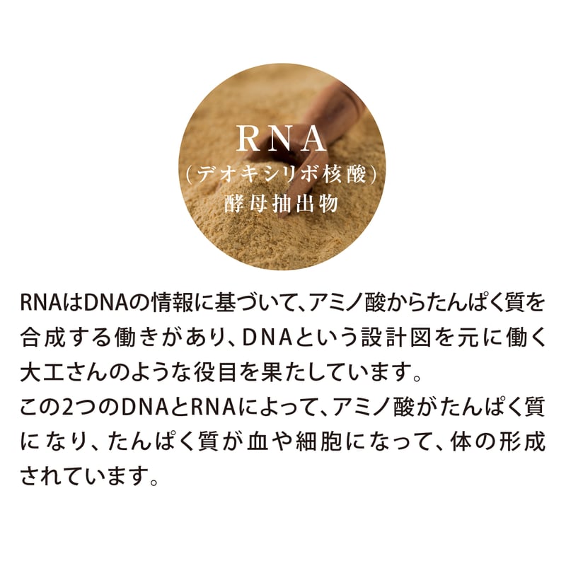 NMN サプリメント 賞味期限2025.8月末 NMN18000+ DNA-Na・RNA 大